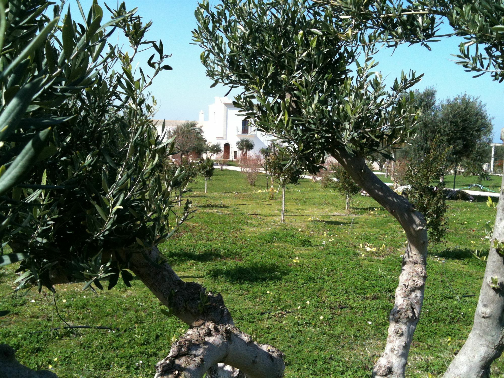 Casale Del Murgese Country Resort Savelletri Exteriér fotografie